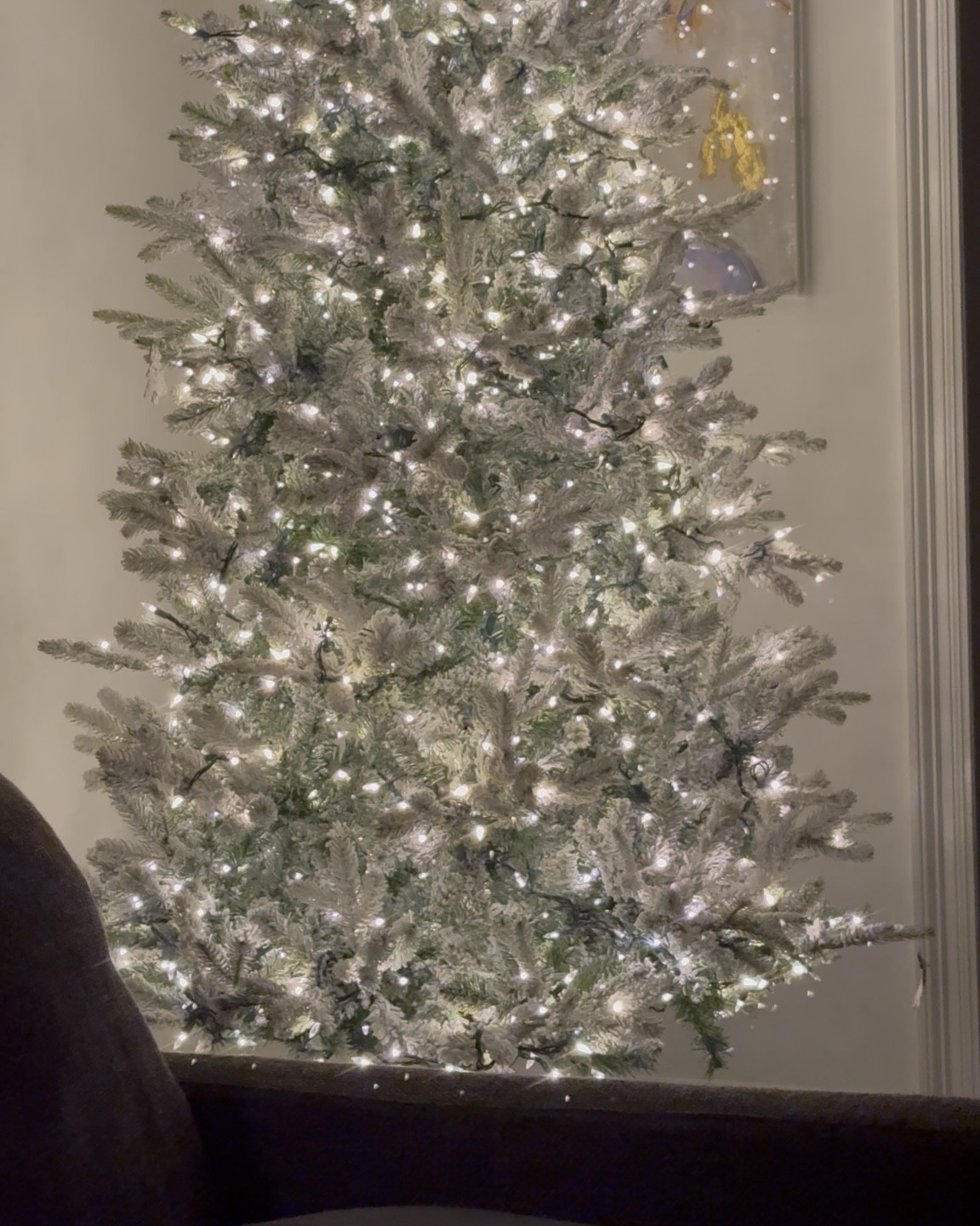 Christmas trees and the twinkle lights that everyone is going to want at a price that will not break your budget. 

#LTKHoliday #LTKSeasonal #LTKHome