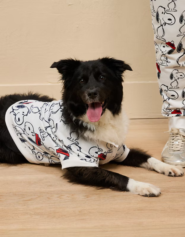 ABO Snoopy Holiday Plush Dog PJ Set | American Eagle Outfitters (US & CA)