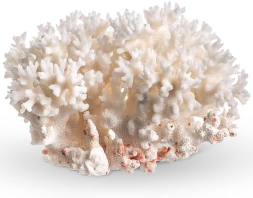 White Sea Coral | 4-5" Lace Coral Pocillopora Damicornis | Plus Free Nautical eBook by Joseph Rai... | Amazon (US)