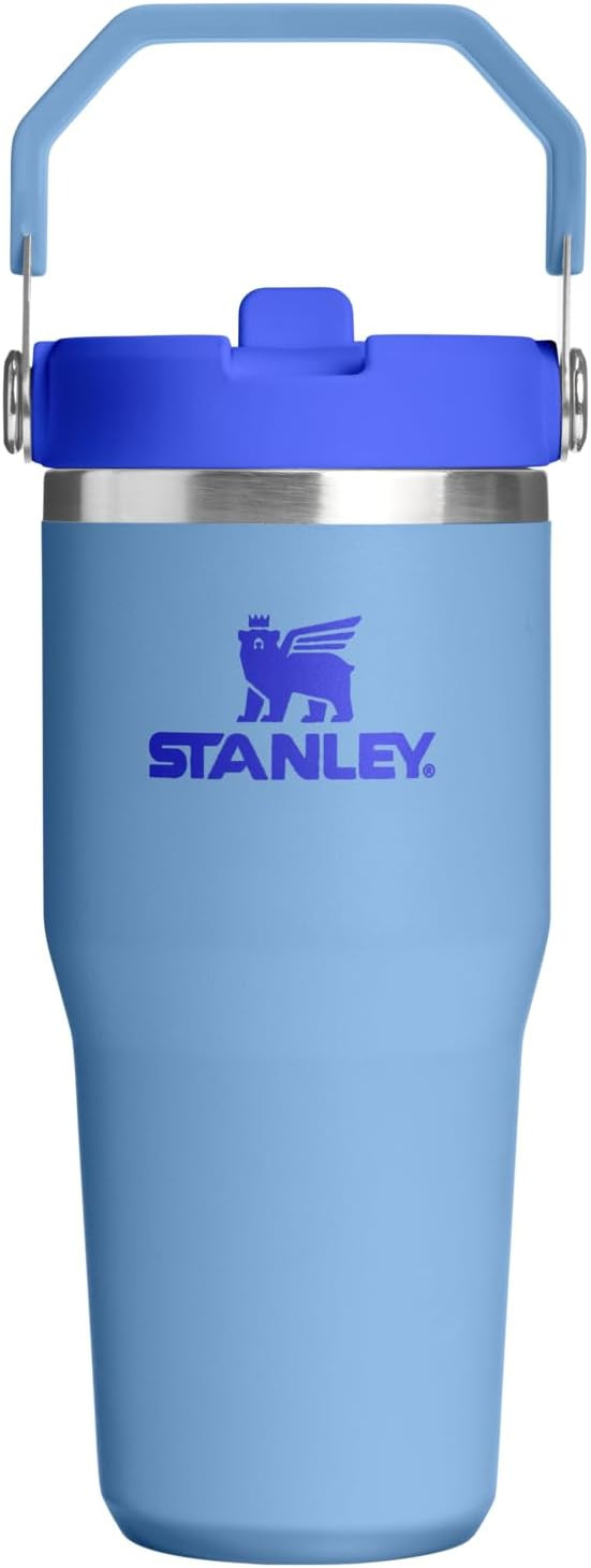 STANLEY IceFlow 2.0 Flip Straw Tumbler with Handle 14 oz | Twist On Lid and Flip Up Straw | Leakp... | Amazon (US)