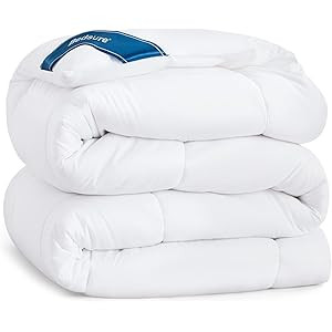 Bedsure Queen Comforter Duvet Insert - Quilted White Comforters Queen Size, All Season Down Alternat | Amazon (US)