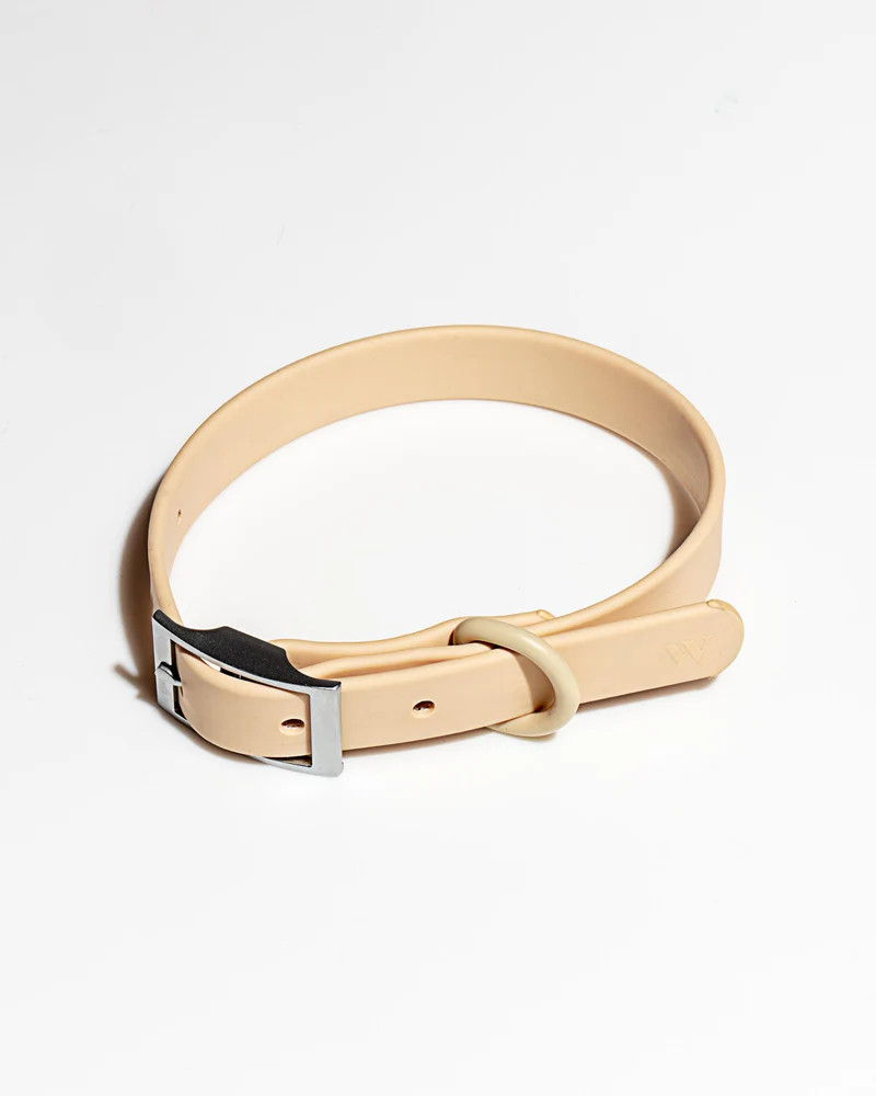 Collar | Wild One