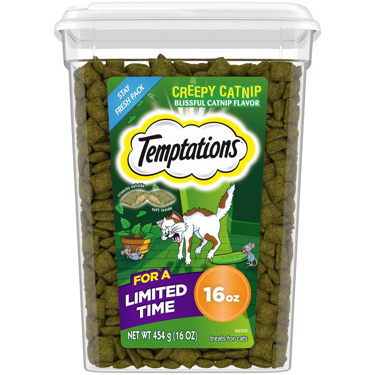 Temptations Creepy Catnip Haunted House Halloween Cat Treats - 16oz | Target