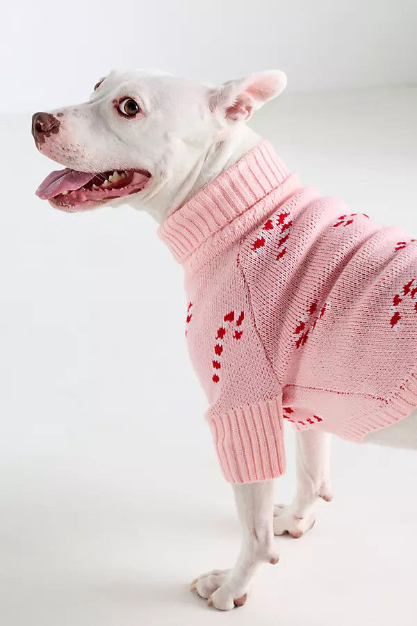 Candy Cane Pet Sweater | Anthropologie (US)