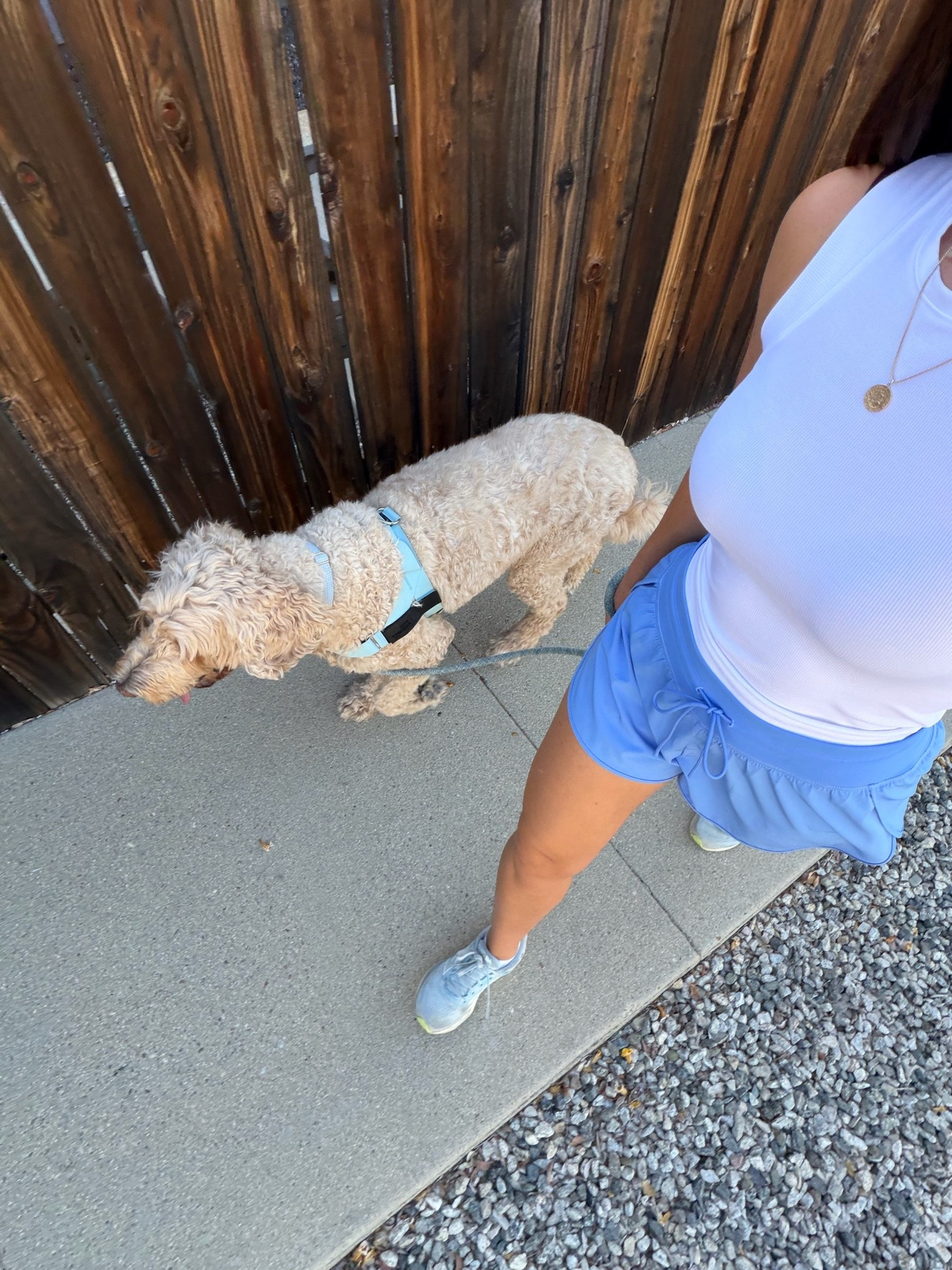 favorite walking basics!
