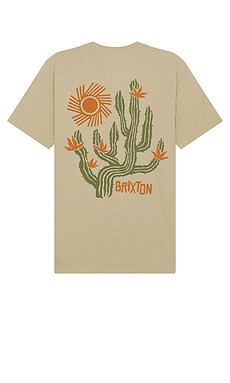 Brixton Valley Short Sleeve Tailored Tee in Oatmeal from Revolve.com | Revolve Clothing (Global)