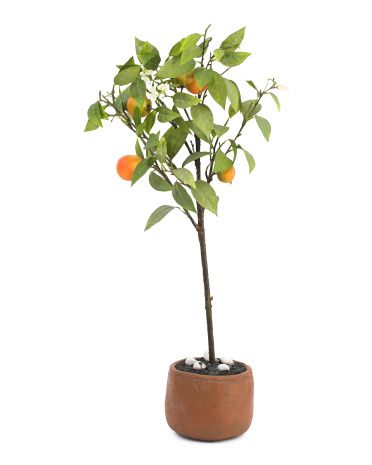 33in Orange Tree In Cement Pot | TJ Maxx