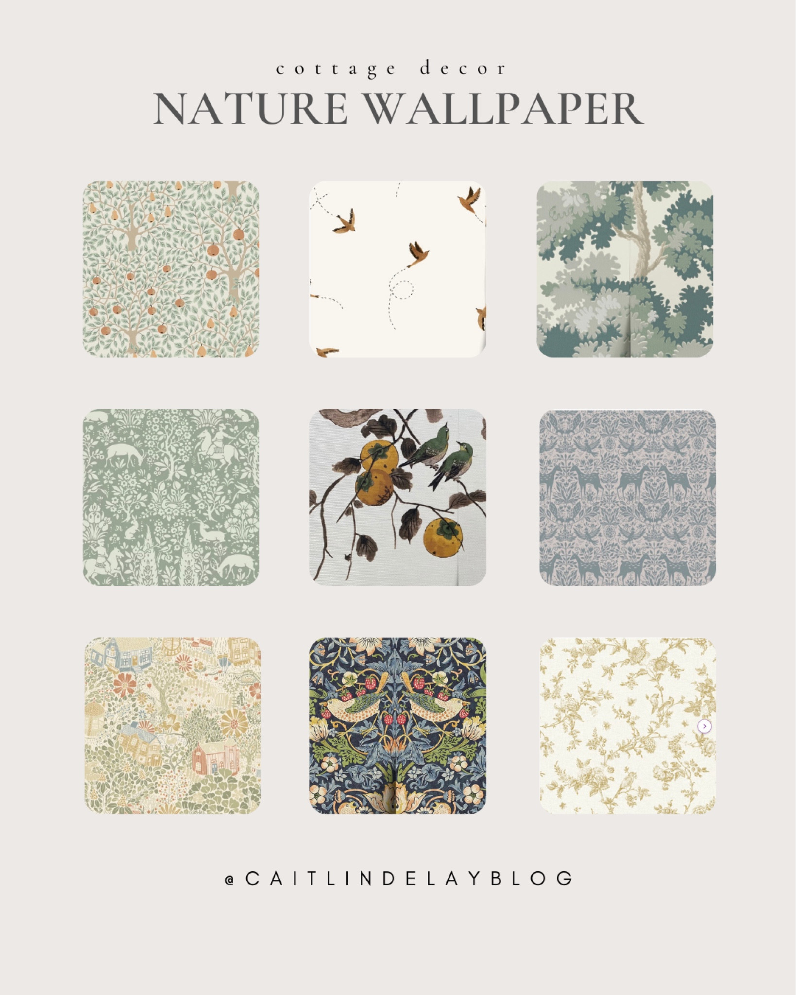 Cottage wallpaper nature-inspired. Home, wallpaper ideas, home decor.

#LTKSaleAlert #LTKHome #LTKStyleTip