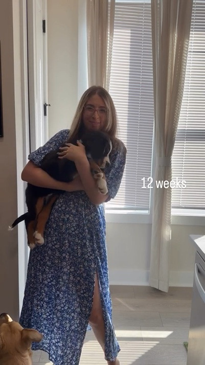 12 weeks