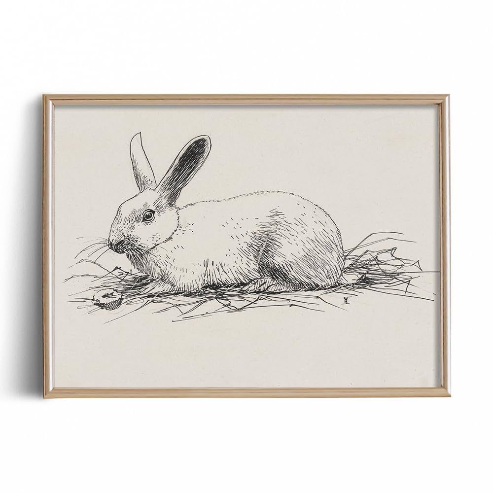 Rabbit Easter Bunny Drawing Etching Rustic Gray Picture - Cute Rabbit Art Print Poster - Vintage ... | Amazon (US)