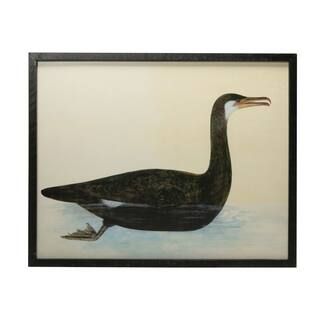 Vintage Reproduction Bird Print in Black Wooden Frame | Michaels Stores