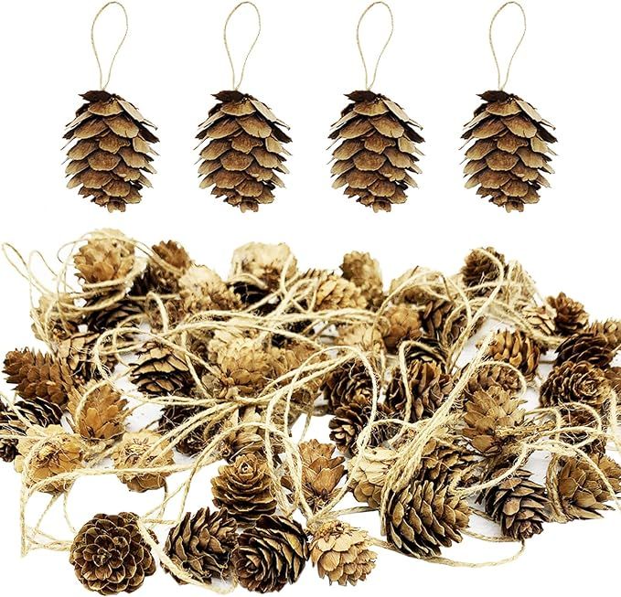 Delokey 60 PCS Thanksgiving Natural Mini Hanging Pine Cones with String-3CM Christmas Tree Hangin... | Amazon (US)