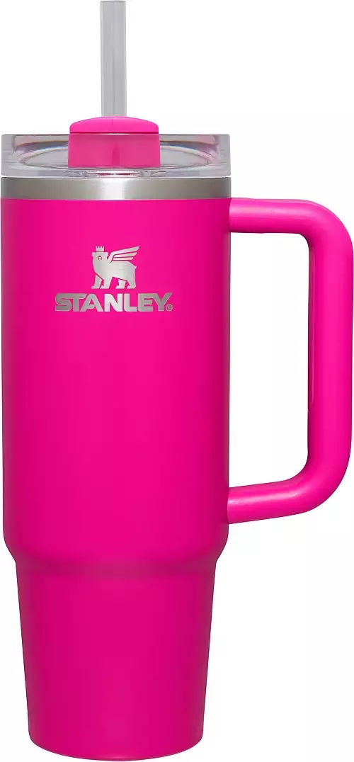 Stanley IceFlow Flip Straw 30 Oz Tumbler - Stanley Tumbler - Stylish Stanley  Tumbler - Pink Barbie Citron Dye Tie