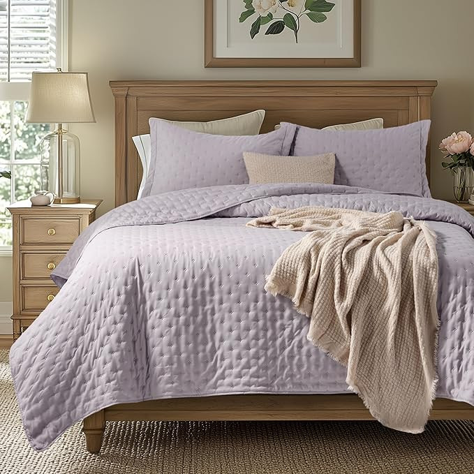 Bedsure Quilts Queen Size - Ultra Soft Queen Quilt Bedding for Modern Farmhouse Bedroom Decor, Li... | Amazon (US)