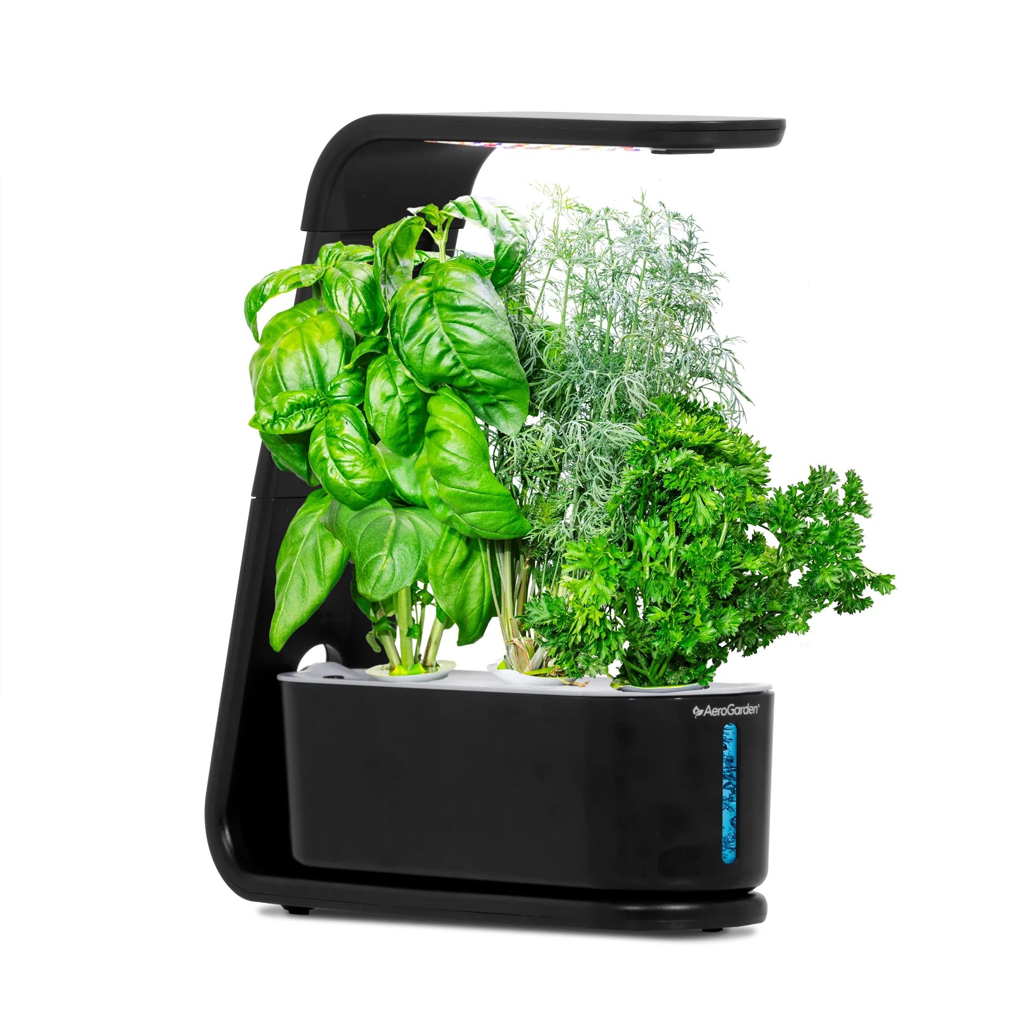 AeroGarden Sprout, Black with Seed Starting System Bundle | Walmart (US)