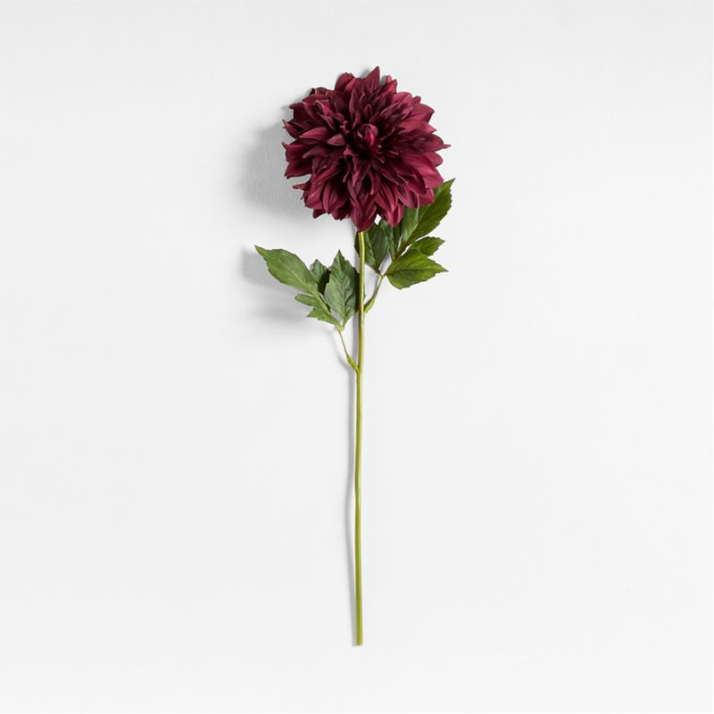 Faux Burgundy Dahlia Stem 24" by Abigail Ahern + Reviews | Crate & Barrel | Crate & Barrel