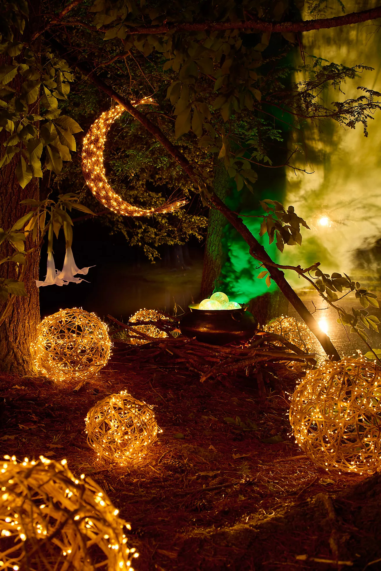 Illuminated Vine Crescent Moon | Terrain