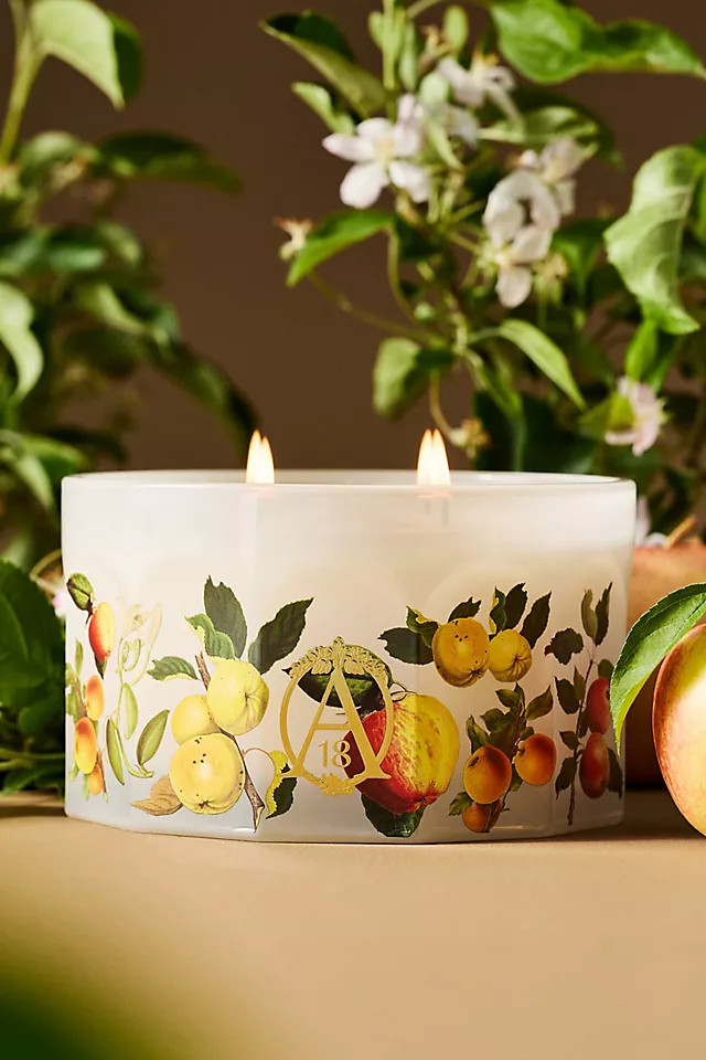 Apothecary 18 Gourmand Harvest Apple & Vanilla Glass Candle | Anthropologie (US)