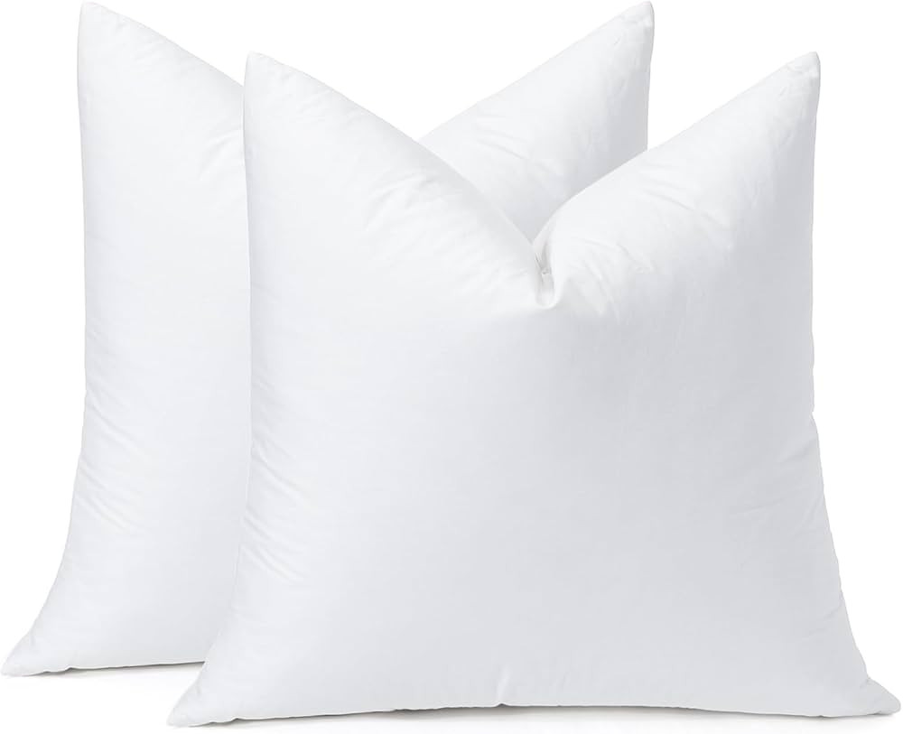 OTOSTAR Pack of 2 Down and Feather Throw Pillow Inserts, 20 x 20 Soft Fluffy Square Pillow Insert... | Amazon (US)