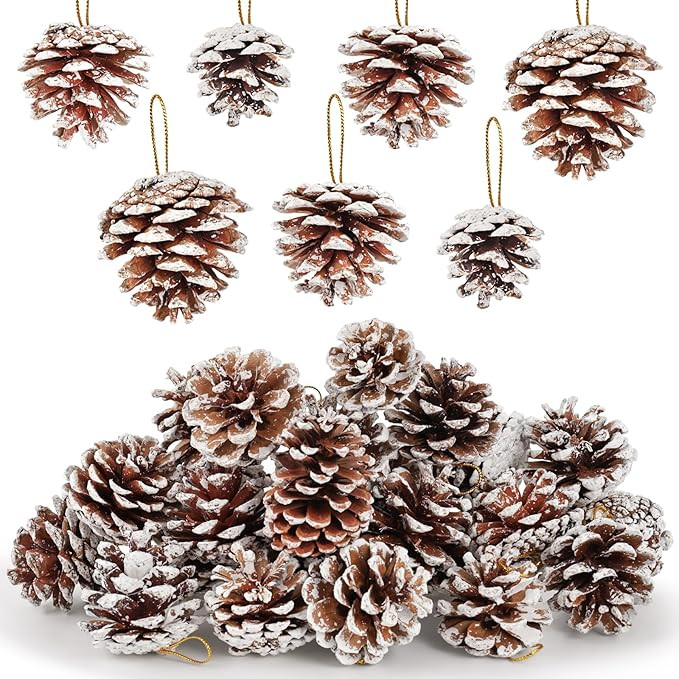JOHOUSE 24PCS Snow-Dusted Natural Pine Cones with Gold String – 2-2.5in Pinecone for Crafts, Th... | Amazon (US)