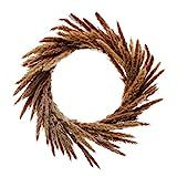Creative Co-Op 22" Round Dried Natural Reed Wreath, Brown Wall Decor, Multi | Amazon (US)