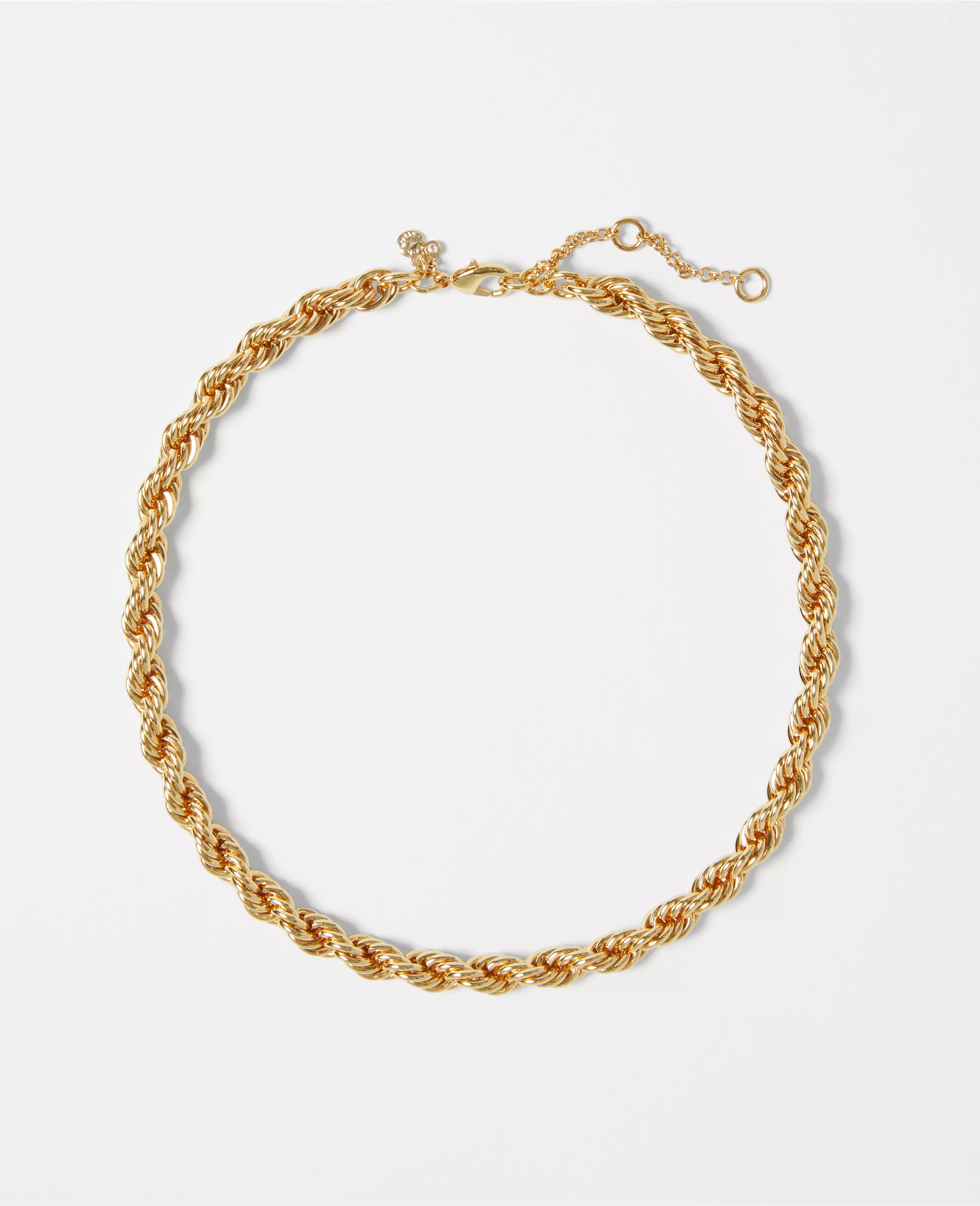 Twisted Rope Chain Necklace | Ann Taylor (US)