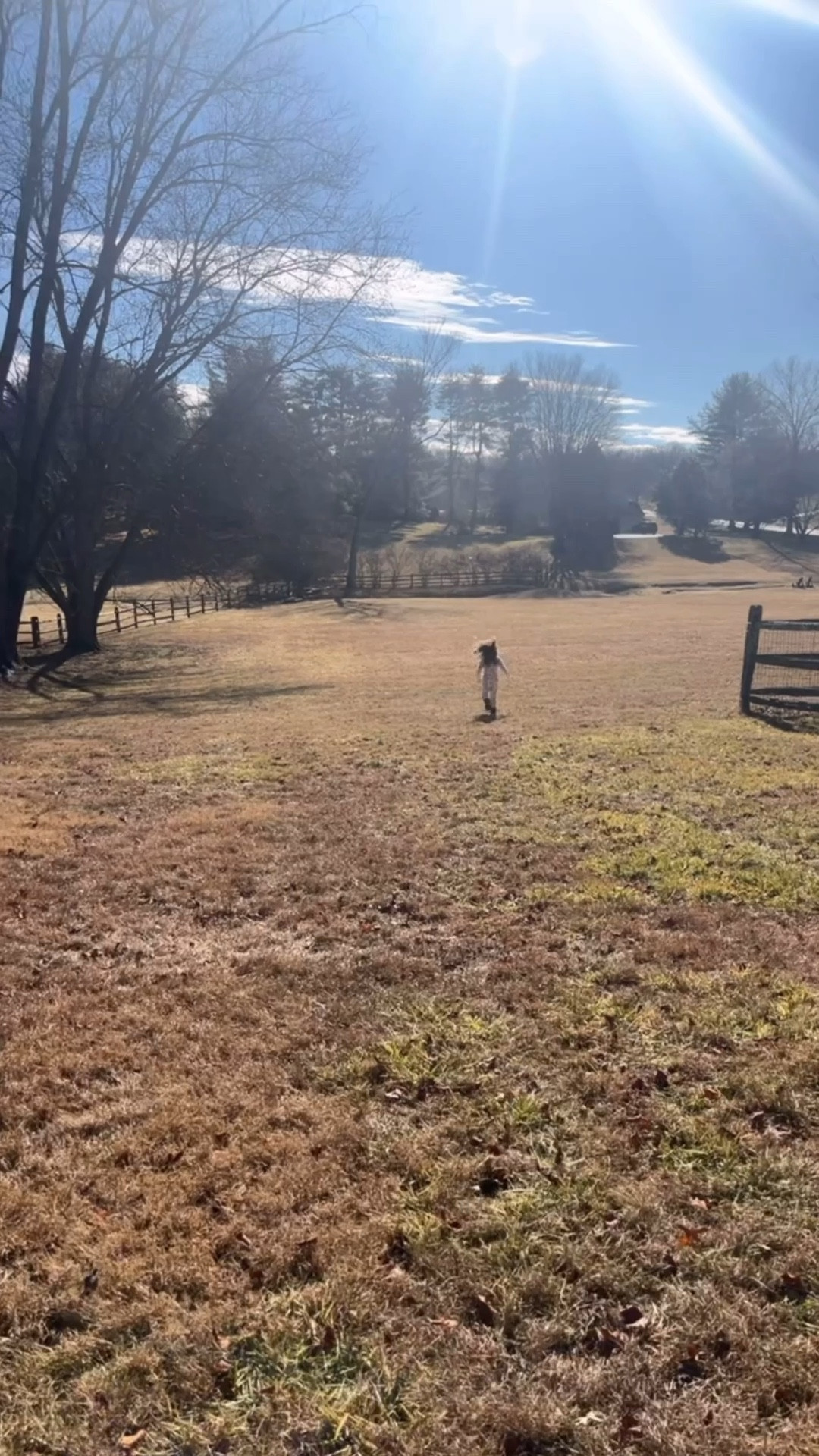 Outdoor exploring and simple home DIYs — my favorite kind of day 🤍 

#LTKHome
#LTKDIY #LTKMom
#LTKFamily #LTKLifestyle

#LTKHome #LTKdayinmylife #LTKmomlife