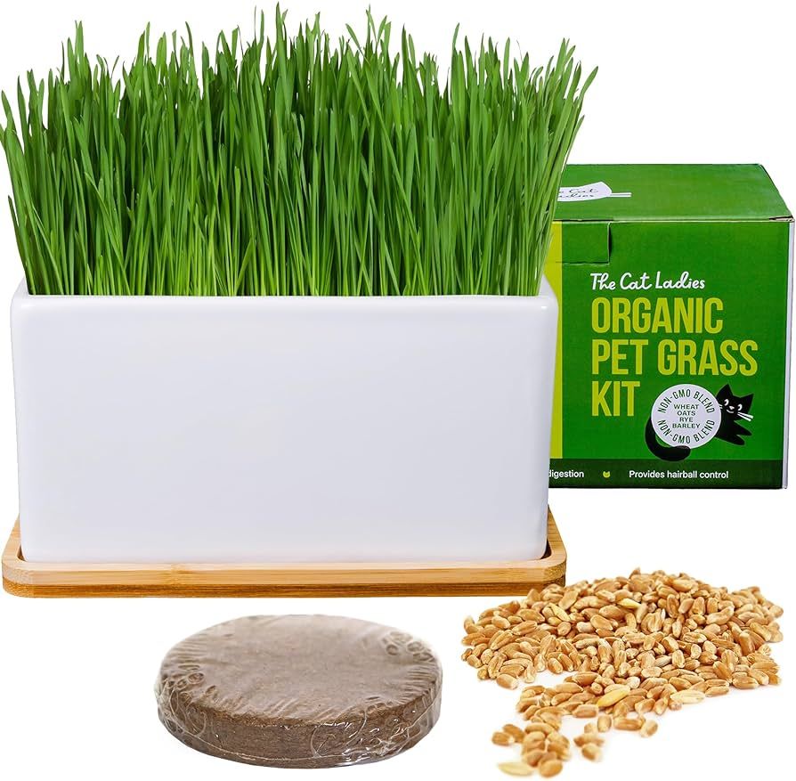 The Cat Ladies Organic Cat Grass Growing kit with Organic Seed Mix, Soil and Ceramic Planter with... | Amazon (US)