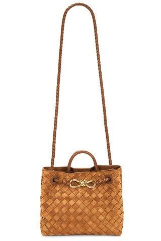 Bottega Veneta Small Andiamo Bag in Brown | FWRD 
