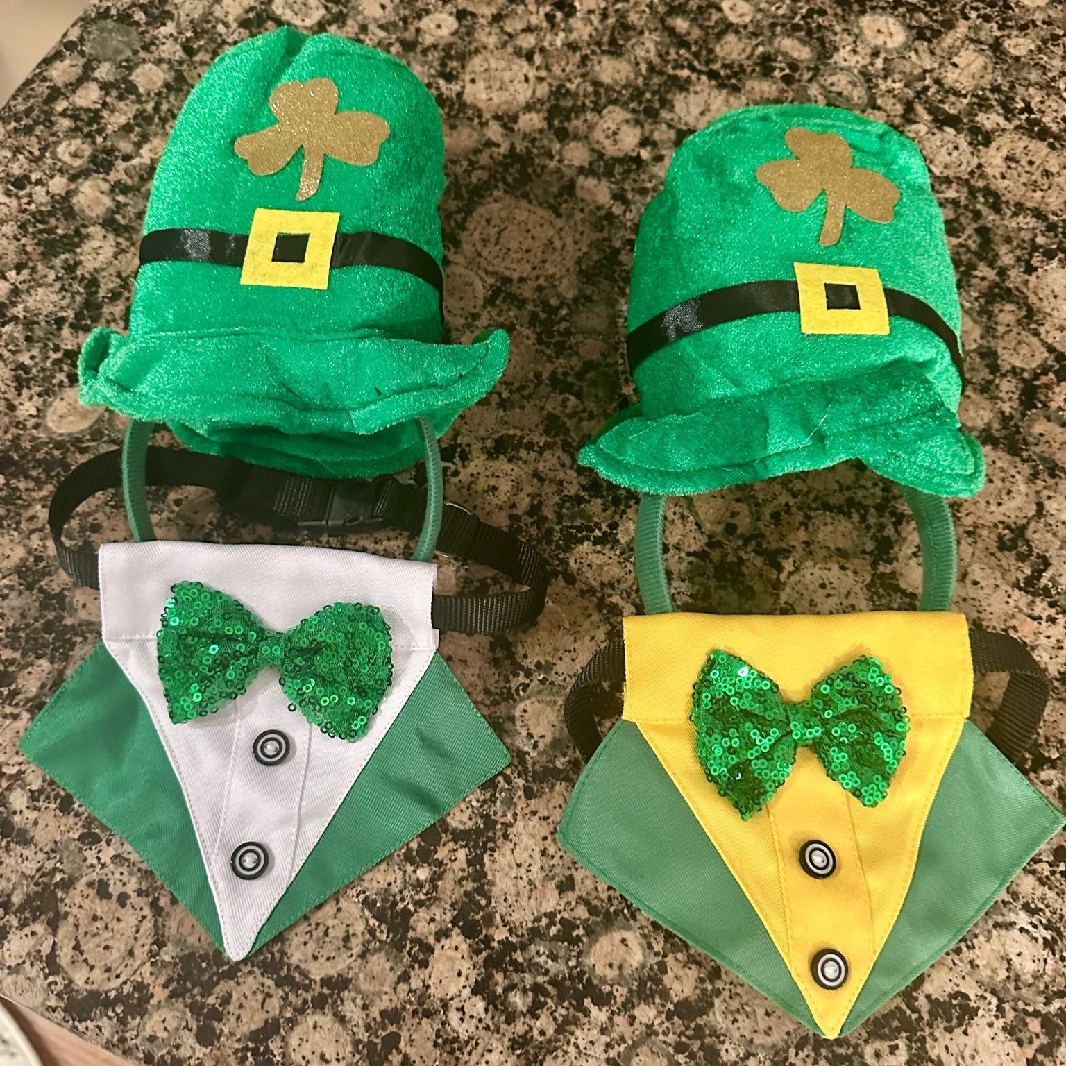 St Pattys costumes for the doggos! 🍀

#LTKfindsunder50 #LTKSeasonal