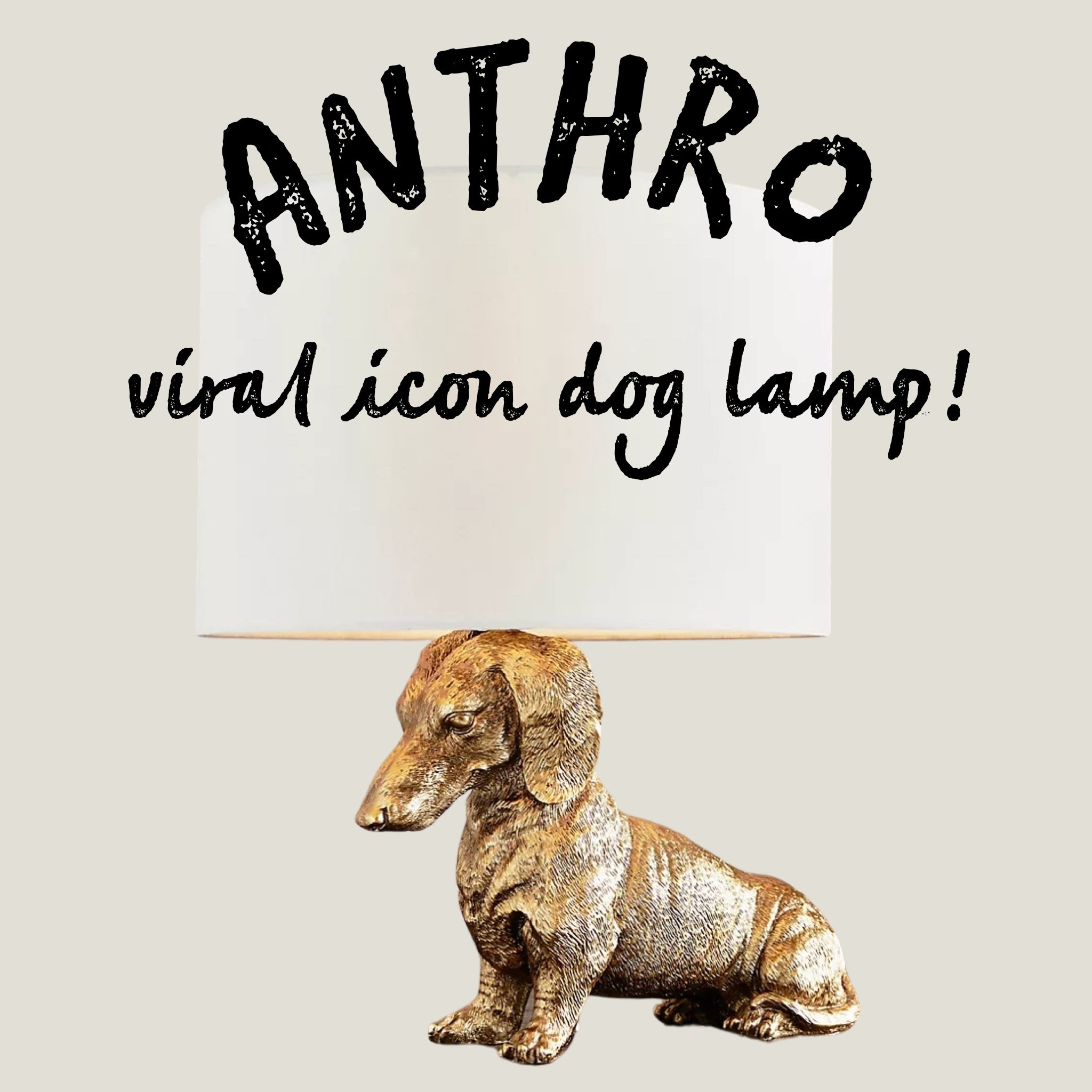 I’ve literally been obsessing over this wiener dog lamp for like 2 years…it’s 30% off right now and I just couldn’t resist! I’ll unbox it tomorrow, but you should snag yours while you can! It’s viral and it has sold out in the past. Comes in other breeds, too: corgi, poodle, frenchie, yorkie, golden retriever, lab, hound…snag your fave for a funky golden glow in any room! 

#LTKGiftGuide #LTKHome #LTKCyberWeek