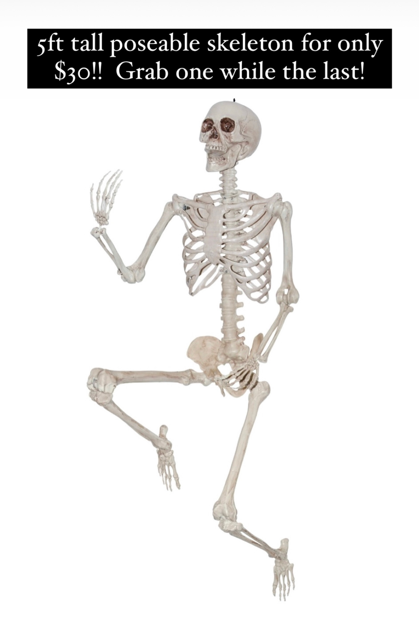 Such an amazing deal on this 60” posable Halloween skeleton!  Only $30 while they last! 


Home decor Walmart finds deals

#LTKHalloween #LTKsalealert #LTKSeasonal