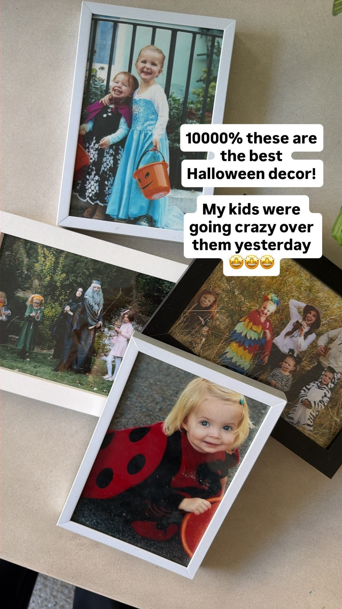 This is the BEST Halloween decor - easy, adorable, and inexpensive!

Planning on using the frame linked below for this years picture because it’s $2.50!

#LTKHome #LTKSeasonal
