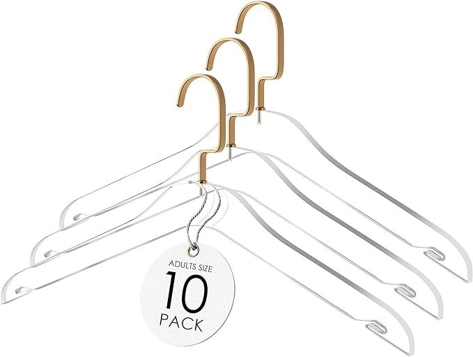 Elavain Acrylic Hanger | Sleek, Modern Clothes Hanger with Gold Hook | High End Closest Organizer... | Amazon (US)
