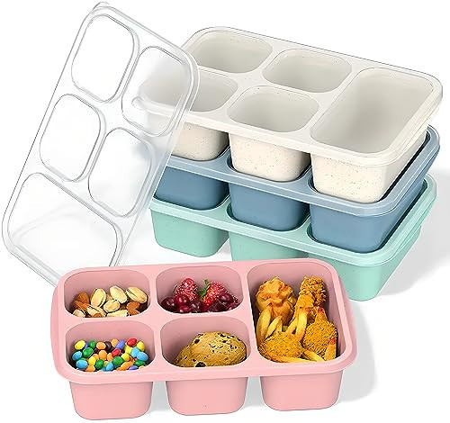 box2go Bento Box Adult Lunch Box [4 Pack], 5-Compartment Meal Prep Container for Kids, Reusable Food Storage Containers with Transparent Lids, No BPA, Microwaveable [Wheat Green/Blue/Pink/Beige] | Amazon (US)