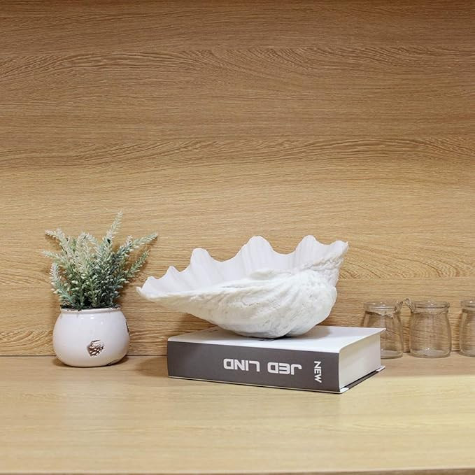 Seashell Decorative Bowl Clam Shell Decor Bowl Nautical Home Decor Coastal Bathroom Decor Beach P... | Amazon (US)