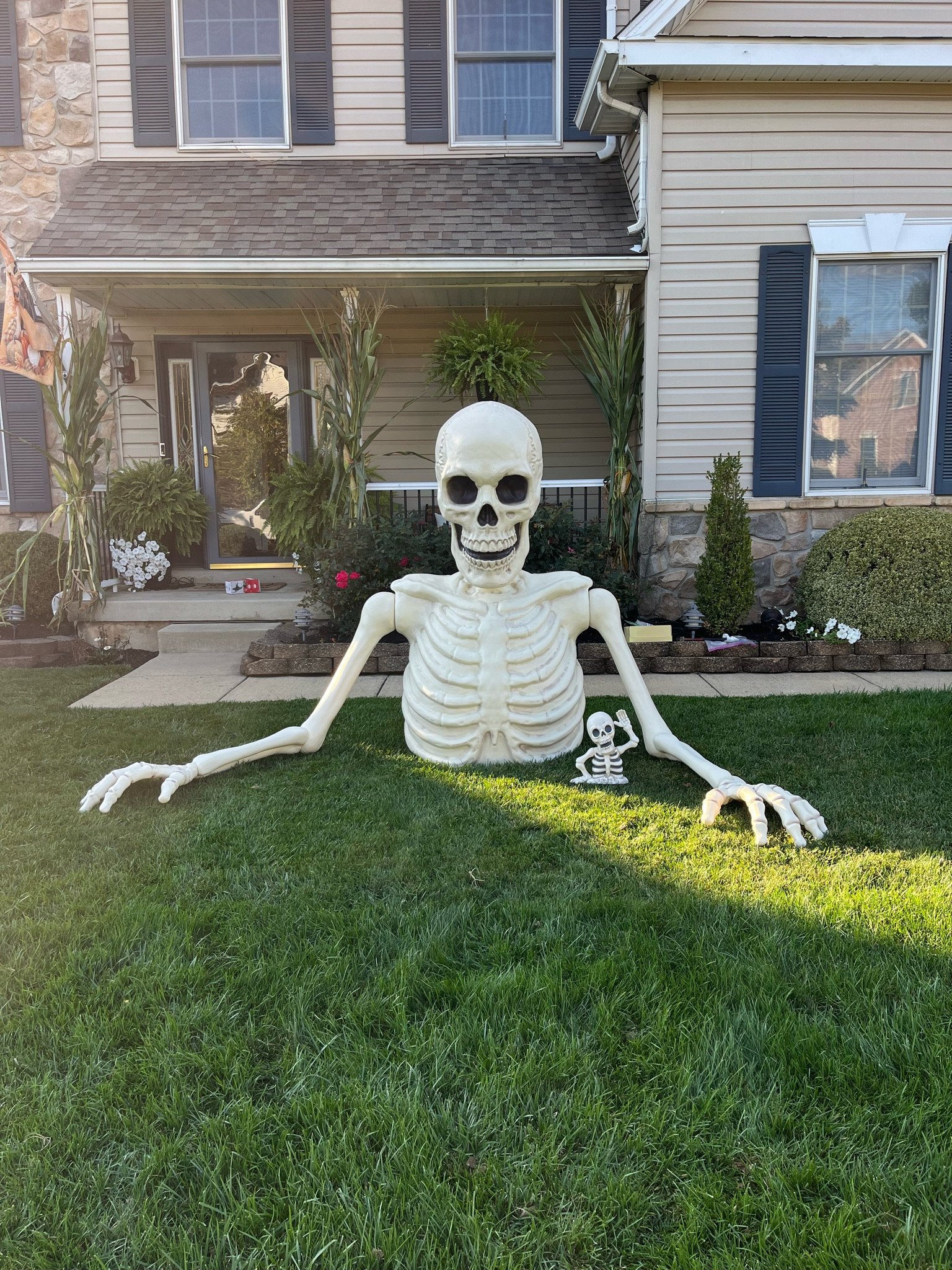 Ground breaking skeleton from Joann’s! The baby is target! 

Halloween | skeleton | ground breaking skeleton | decor 

#LTKHome