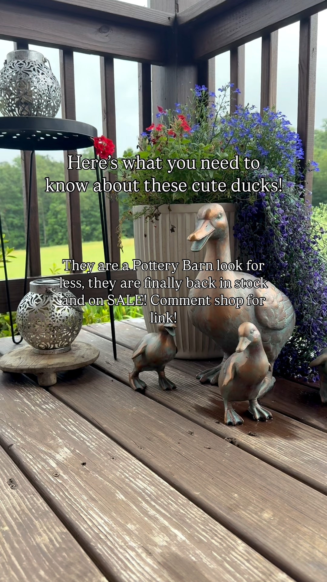 Click the link to shop before they sell out! These ducks are the cutest! They can be used for indoor decor or outdoor decor! 🙌 patio decor, porch decor, fall decor, duck, ducks, pottery barn look for less, designer look for less, designer inspired 

#LTKHome #LTKStyleTip #LTKSaleAlert
