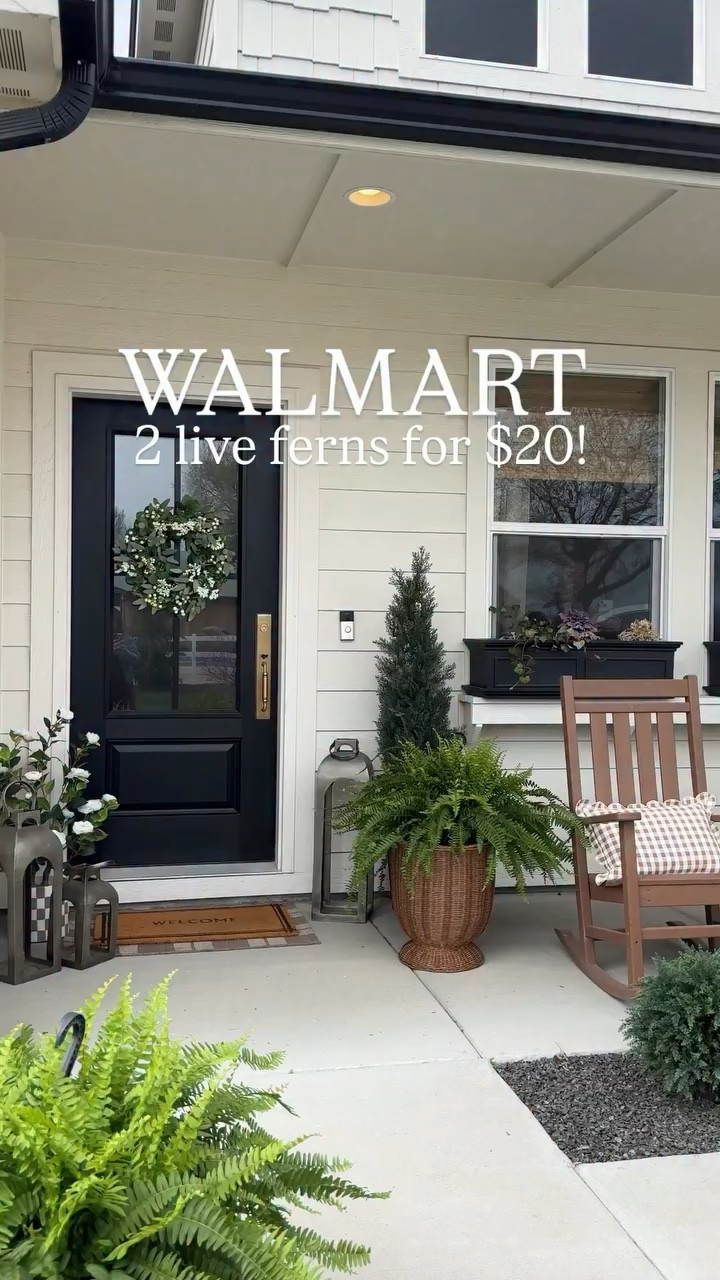 Hurry! 2 live ferns for $20!!! They are healthy and such a great size.

🔗🔗🔗Comment FERN to see if they are available for shipping in your area. Wicker pot is from Walmart in linked as well.😉
