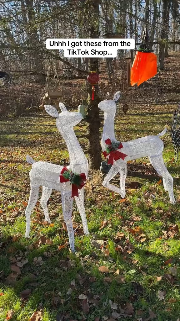 Christmas Decorations