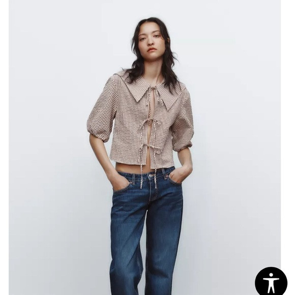 zara bib collar gingham shirt | Poshmark