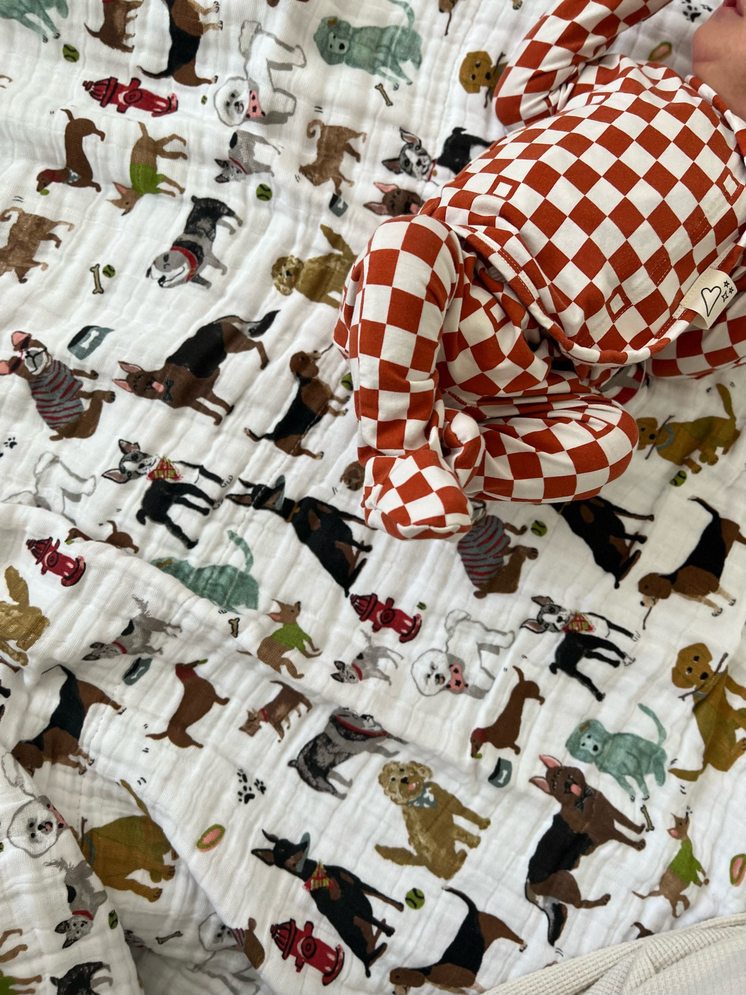 The cutest quilt 🫶🏻

#LTKfamily #LTKunder100 #LTKbaby