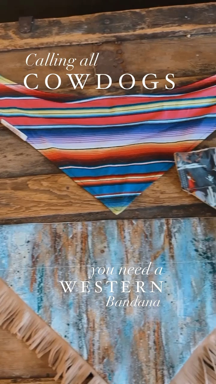 Dog bandanas, western dog bandana, cowdog, dog accessories, dog clothes, herding dog

#LTKstyletip #LTKunder50 #LTKFind
