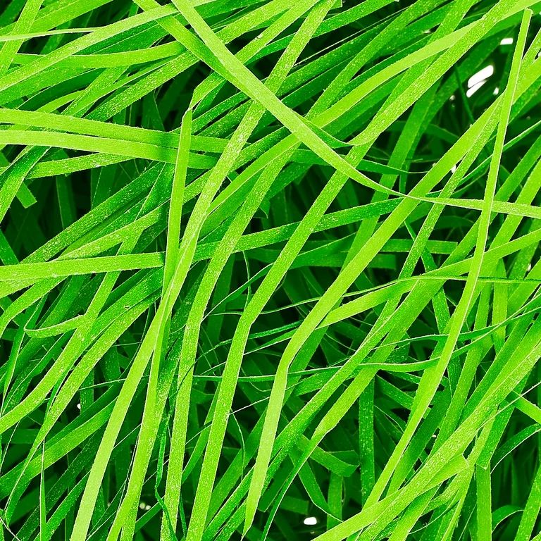 Easter Green Paper Easter Grass, 1 oz, by Way To Celebrate - Walmart.com | Walmart (US)