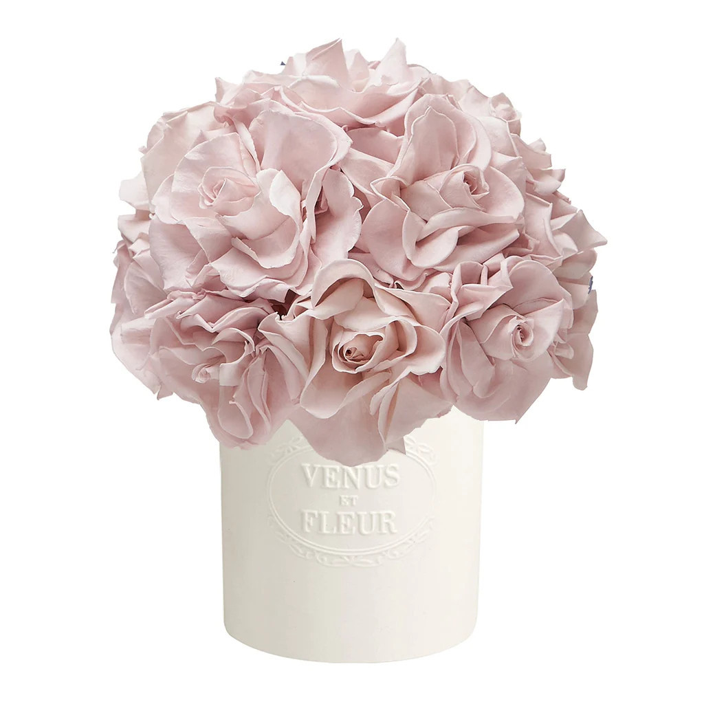 Fleura Porcelain Vase | Venus ET Fleur
