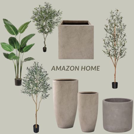 Amazon home Outdoor planter artificial olive trees. Planters artificial birds of paradise. Home decor 

#LTKhome #LTKFind