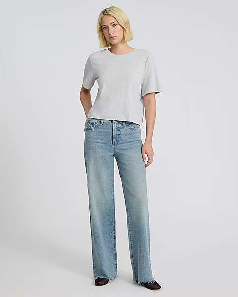 Crew Neck Short Sleeve Boyfriend Tee | Express