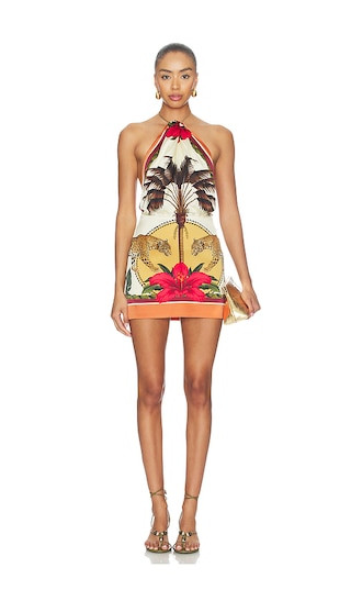 Cymbeline Dress in Jardim Botanico | Revolve Clothing (Global)