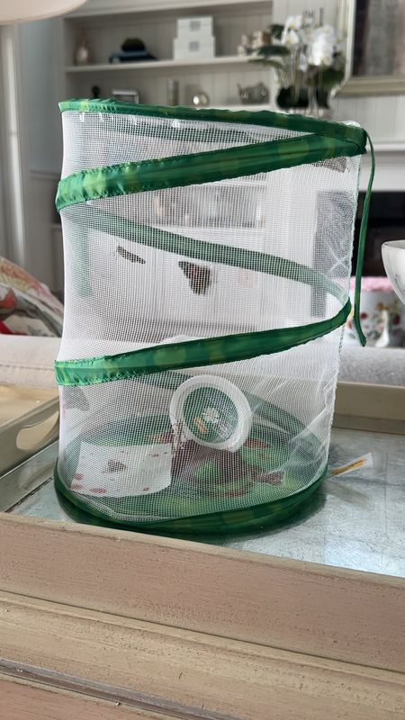 Live butterfly kit!!! 
So great for kids - would make for a great gift! Make sure it is LIVE caterpillars! 

#LTKkids #LTKfamily #LTKfindsunder50
