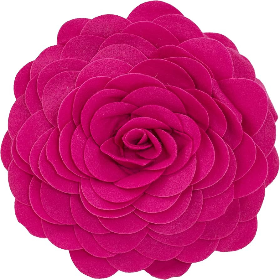 Fennco Styles Eva's Flower Garden Decorative Filled Throw Pillow 13" Round - Fuchsia Floral Accen... | Amazon (US)